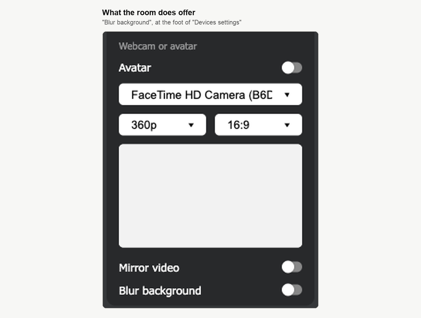 Das untere Ende von „Webcam und Mikrofon“, oben die Bedienelemente der Kamera, darunter die Schalter „Video spiegeln“ und „Hintergrund verwischen“