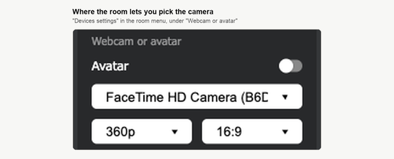 Il blocco «Webcam or avatar» di «Webcam e microfono», con la lista delle camere sopra le liste di risoluzione e proporzioni