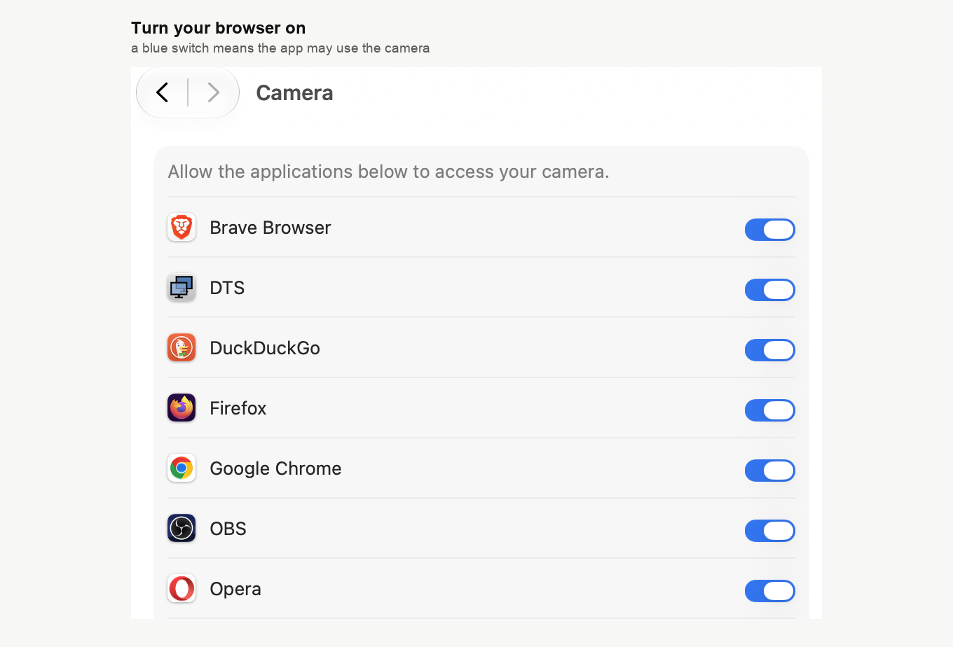 El panel «Cámara» ("Camera") de Ajustes del Sistema, con Brave Browser, DuckDuckGo, Firefox, Google Chrome y Opera entre las aplicaciones y todos los interruptores activados