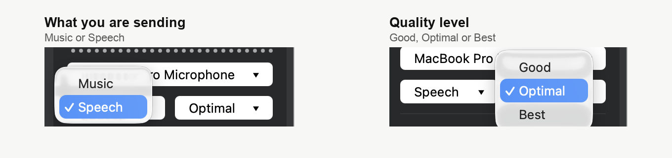 The two lists the plugin adds, one holding Music and Speech, the other holding Good, Optimal and Best