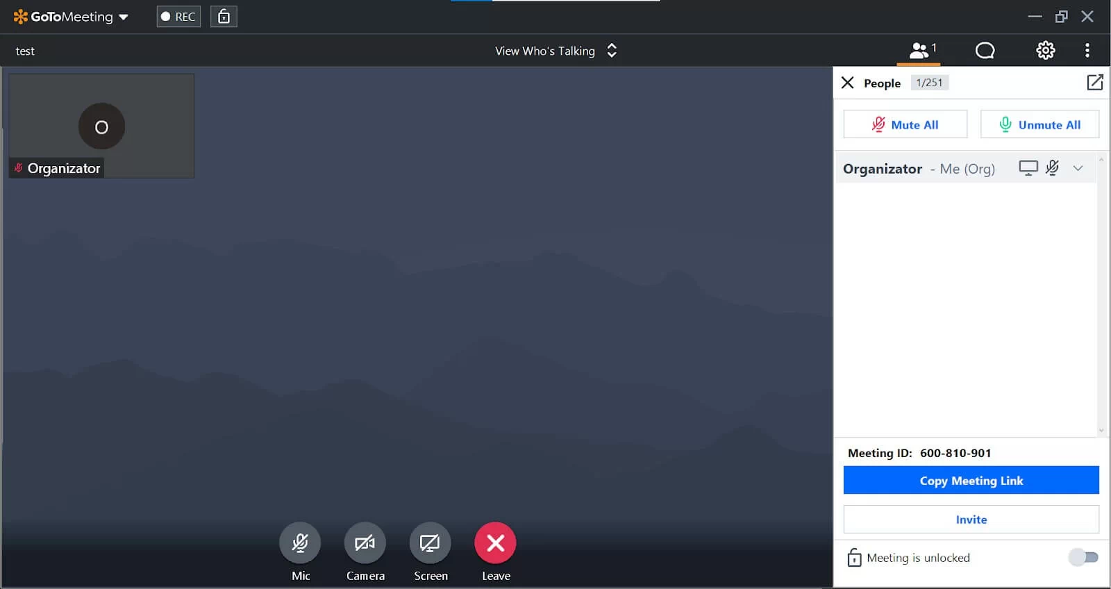 GoToMeeting окно конференции