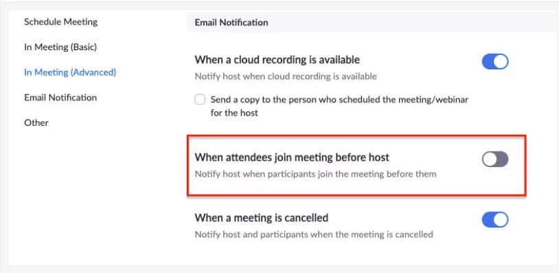 Zoom alert options