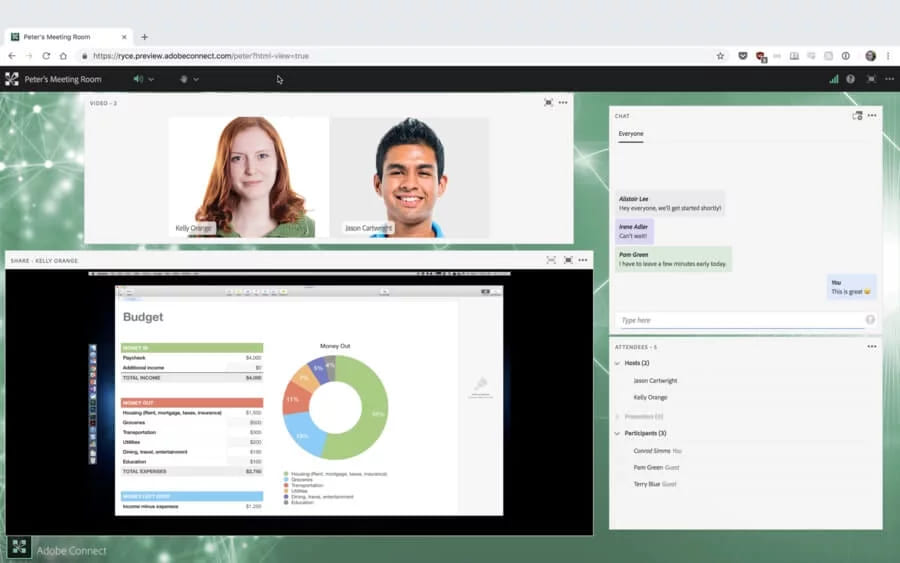 A video meeting where a budget spreadsheet with a donut chart is shared beside the chat
