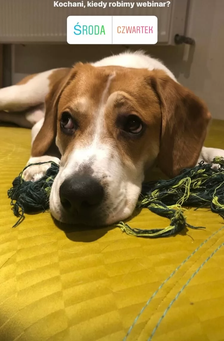 Użycie relacji i reelsów do promocji wydarzeń w sieci