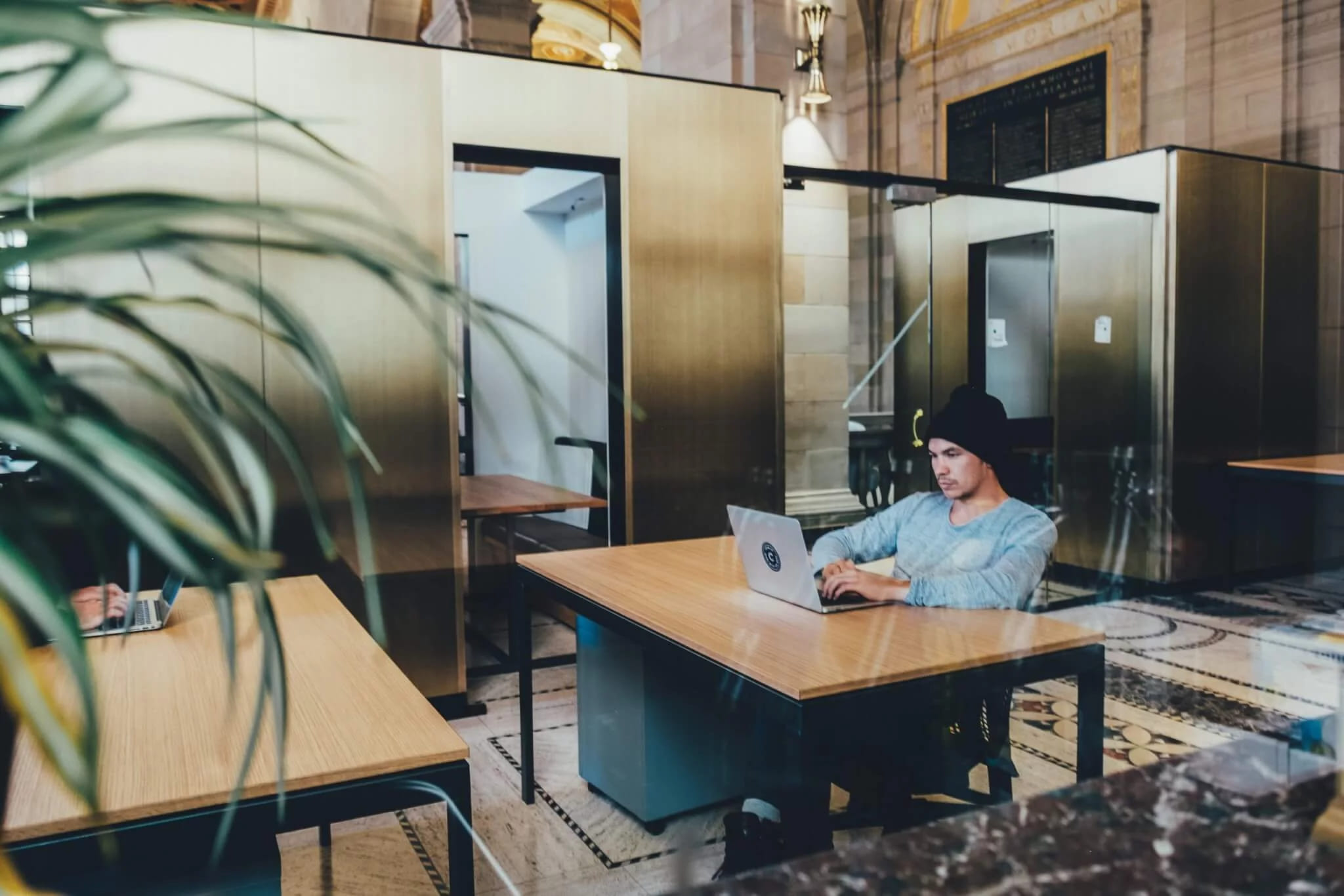 A man in a beanie working on a laptop at a long table beside a large plant