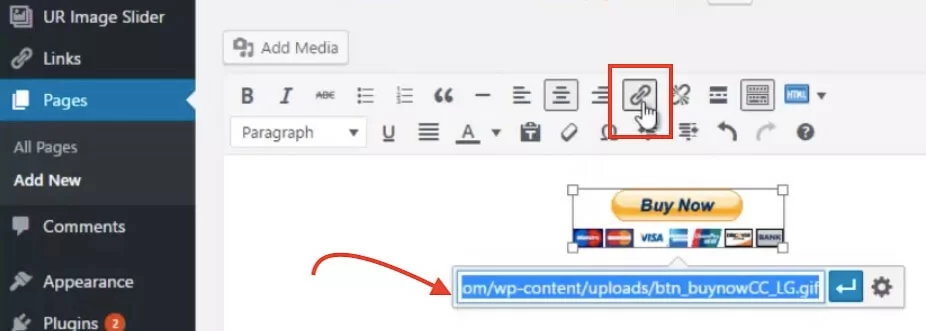 Добавление ссылки на оплату в WordPress