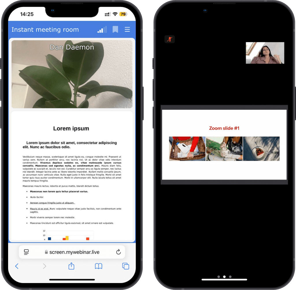 Conducting webinars with MyOwnConference on mobile phones