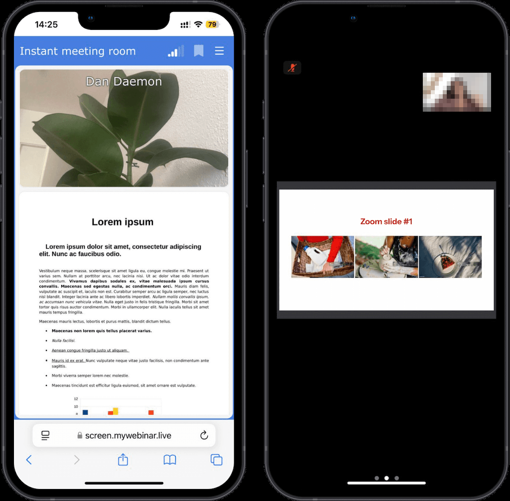 Two phones side by side, MyOwnConference showing the instant meeting room with the presenter and a document, Zoom showing a slide with the speaker muted